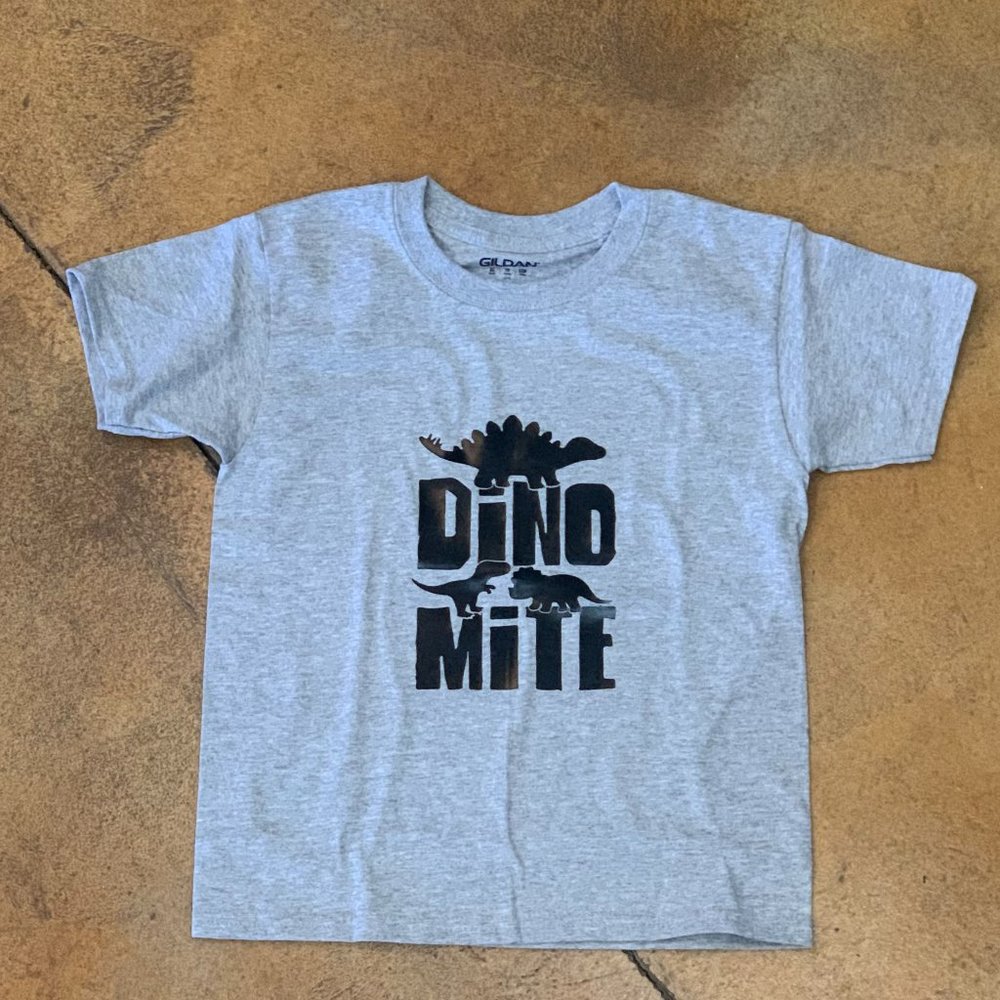 Boys Gray DinoMite Graphic T-Shirt